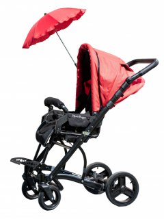 immagine Baffin Buggy